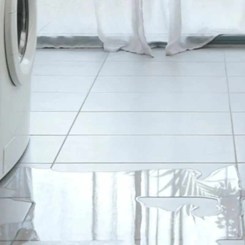 Appliance Leak Cleanup in Brighton, NY